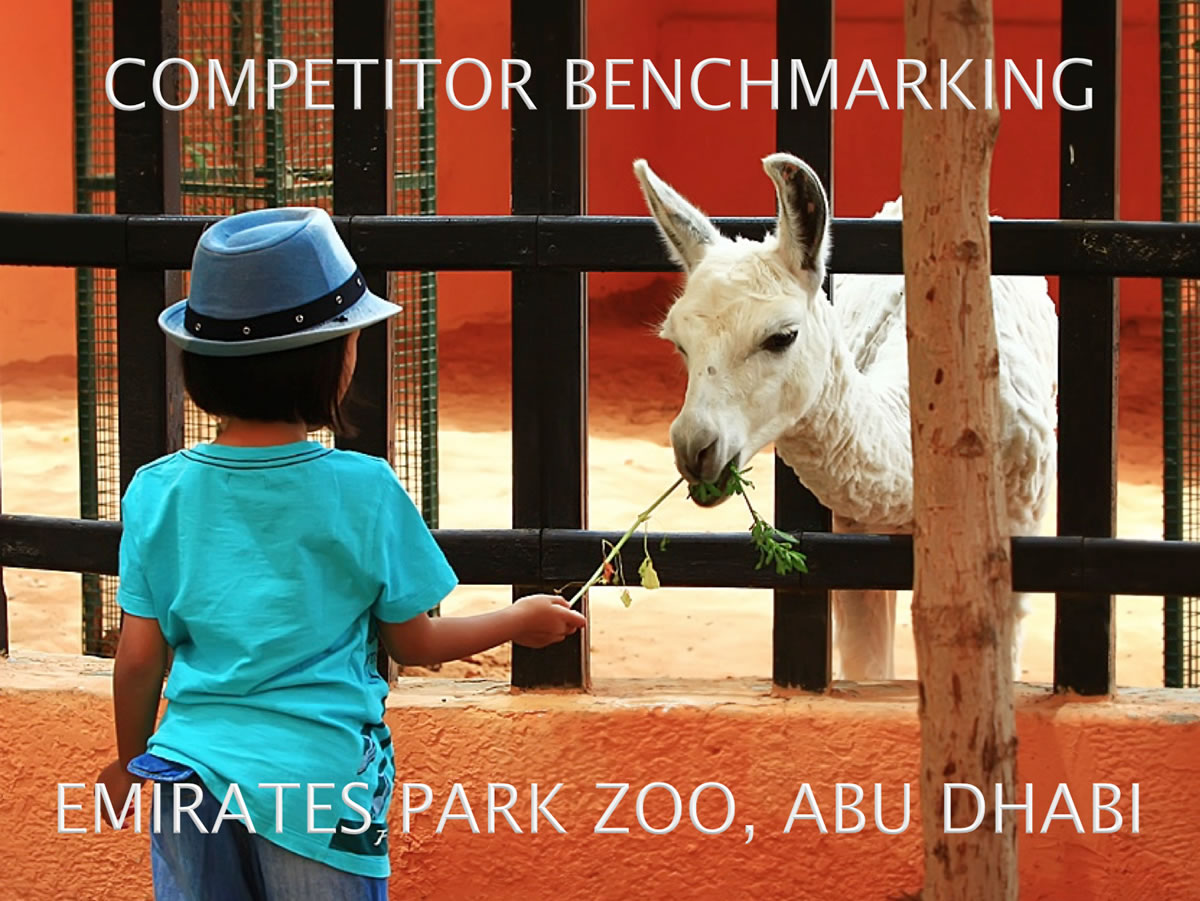 Competitor Benchmarking